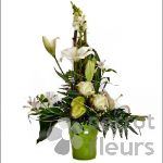 Nos confections Composition Linaire