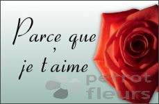 Parce que je t'aime, 85 X 55 mm 