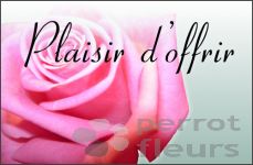 Nos modles originaux de cartes Plaisir d'offrir, 85 X 55 mm 