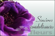 Nos modles originaux de cartes Sincres condolances, 85 X 55 mm 