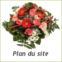 Plan du site